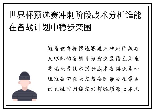 世界杯预选赛冲刺阶段战术分析谁能在备战计划中稳步突围